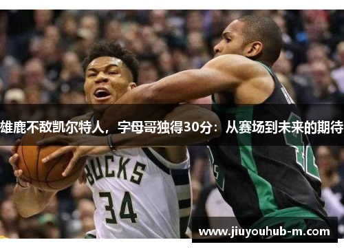 雄鹿不敌凯尔特人，字母哥独得30分：从赛场到未来的期待